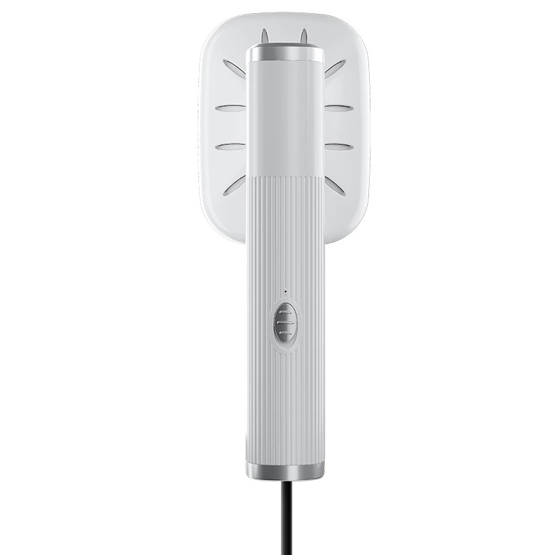 Handheld Garment Steamer, Portable USB/Plug Compact Iron, Universal Plug Options