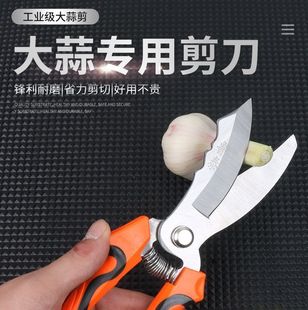 ���⌣�ü���������������������^����횗U���[�����ք��ЈA�[