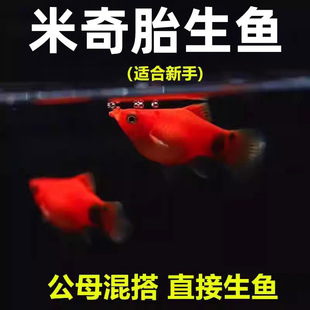 ���� ̥���~ ֱ����С�~ �����~ �tɫС�~ Ƥ���~�������ȸ���B