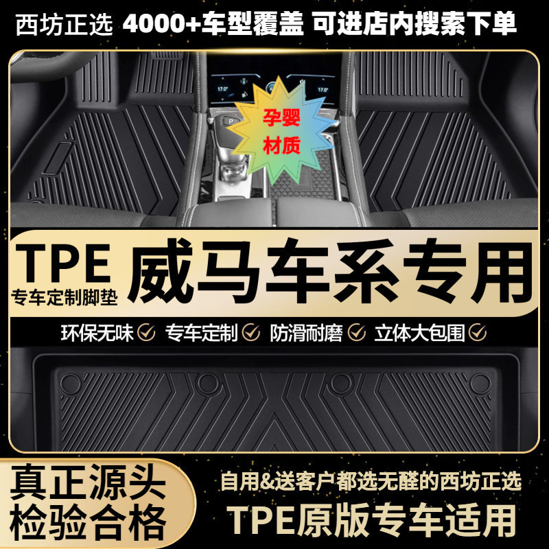 适用威马EX518-25威马EX5-Z汽车tpe全包围专用TPE脚垫批发