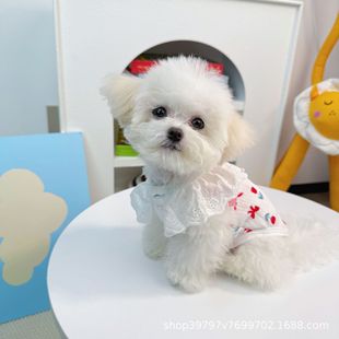 ���n���ı������|���ﹷ��؈���·��R��̩�ϱ��ܲ�ż؈����ë͸��