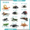 BL-10037 12 types of insect set 136g