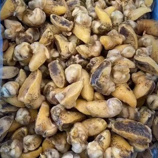 ���l����U�����ؐ���U�~�����_�������Ó�֭С���r���ú��rʳ��