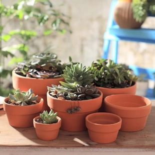 �t��������t�ջ���A�λ����ڏ����������������������l