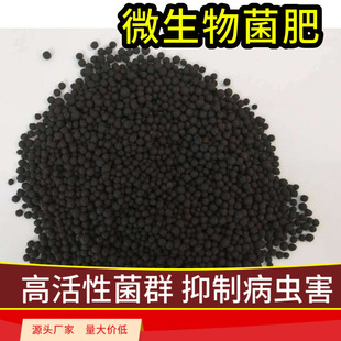 ΢������ʏS���Ҙ����ѷNֲ�׷ʹ��䌣�÷ʏ�������