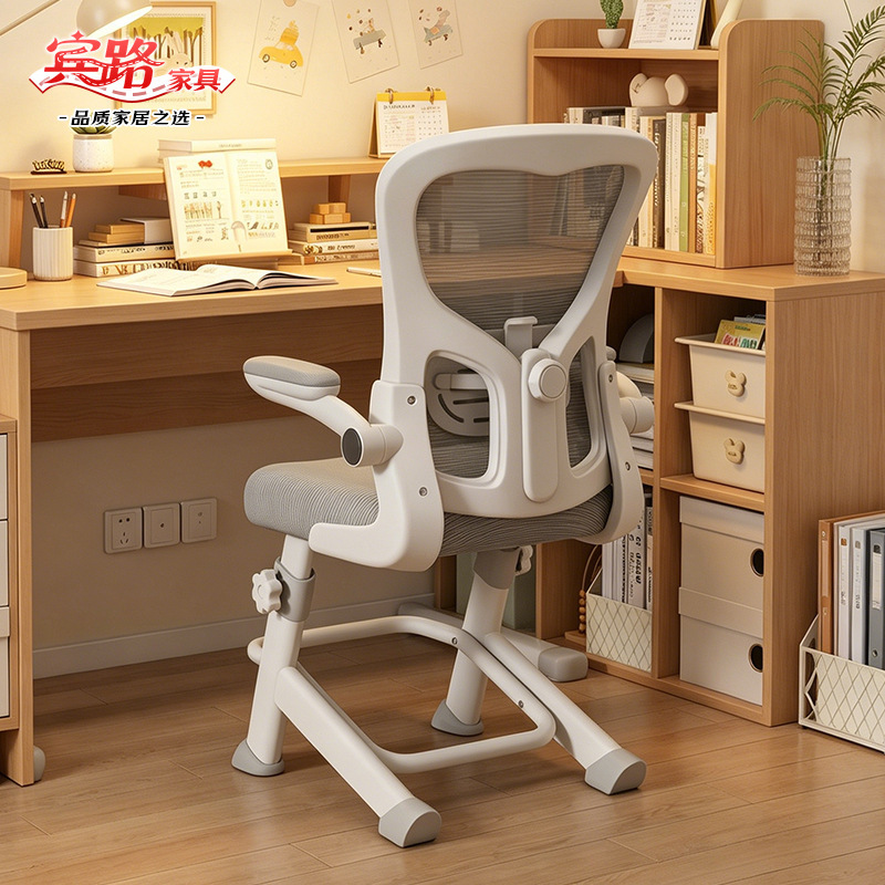 Youth Study Chair, Special Writing Chair for Middle and High School Students, Adjustable Desk Chair, Ergonomic Computer Chair