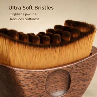 2026�¿�t��ľ�ܰͰ�ĦˢLymphaticContourFaceBrush݆�����yˢ