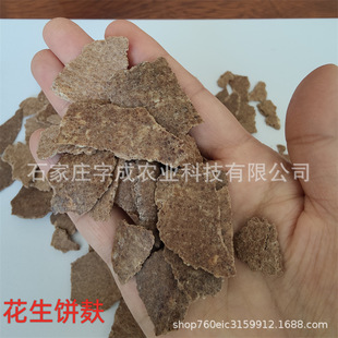 �������Nֲ�����ЙC�|���Ϸʻ����������ɸߵ��������ϼ�