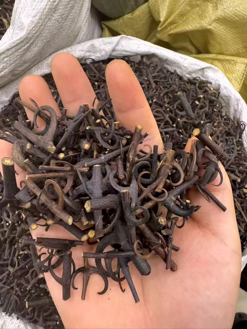 Gou Teng Uncaria Stem with Hooks 1000g Dried Chinese Herb for Decoction details