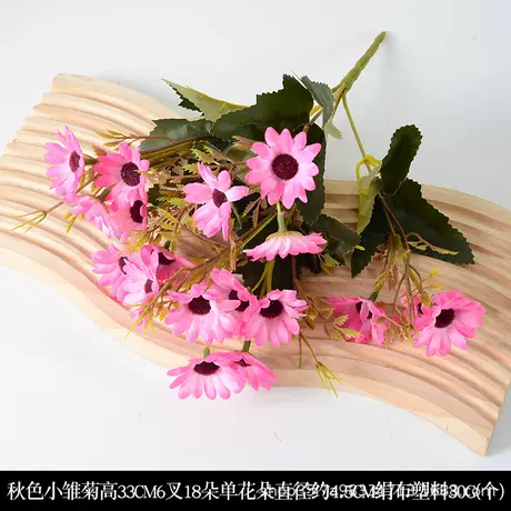 18 autumn daisies pink
