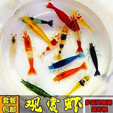 �ѻ��r�O���rˮ���r�{�z�q�S���r�^�p�r�����r�r�����r�ښ��r