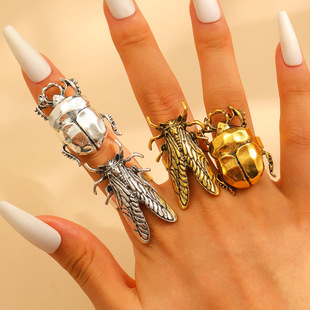 �W���羳�F�����x��ָ�п�С������֪�˼ך��xʳָ���_��ָ�hŮ