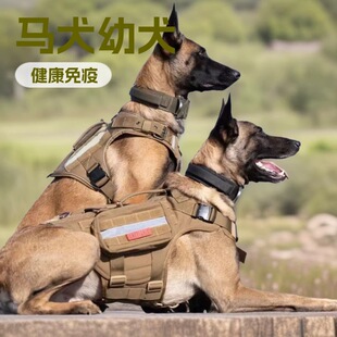 �RȮ��Ȯ���w���������r����Ȯ��Ŀ���tС�RȮ����Ȯ�o�lȮ����