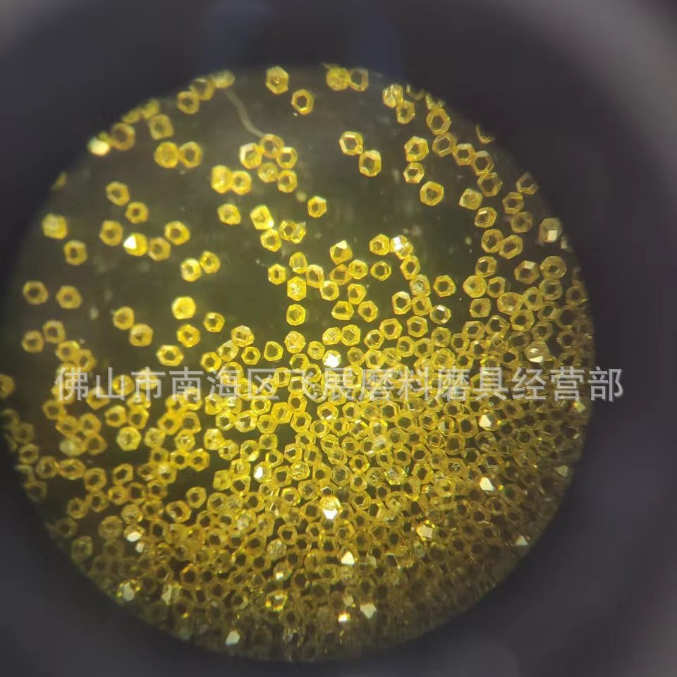 2025-02-14 09:52:34.jpg