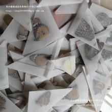 ��������x�˱�δչ��ԭ����ˇƷ�W���ֹ�DIY���Ͻ߽̾̌W������