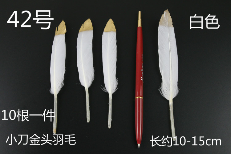 백금 머리 칼 10개