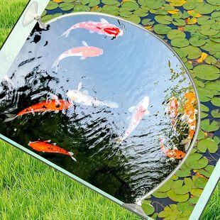 aquarium floating plant corral aquarium fish tank accessories floating plant fence separation floating plant