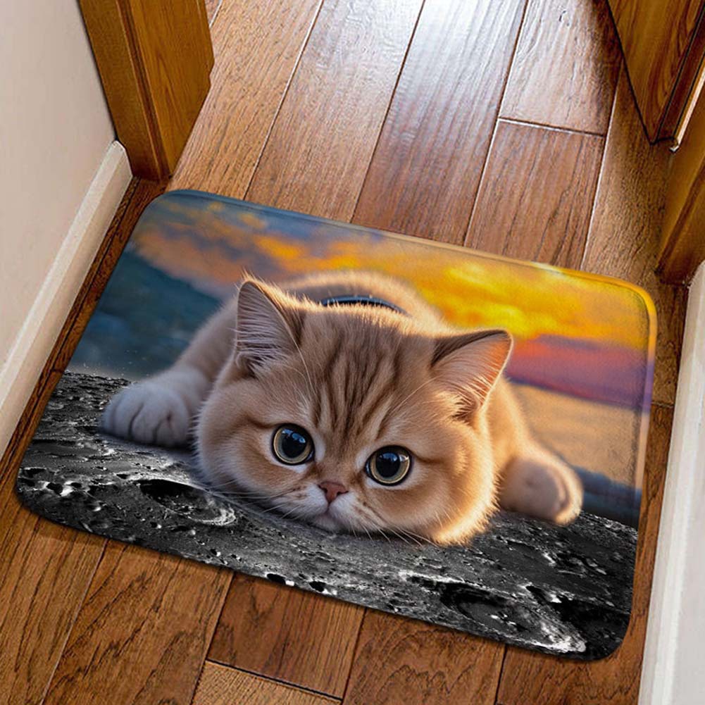 Cross-border cute pet cat decorative floor mat, bathroom absorbent skin-friendly foot mat, easy to maintain, entryway entrance mat, available for dropshipping