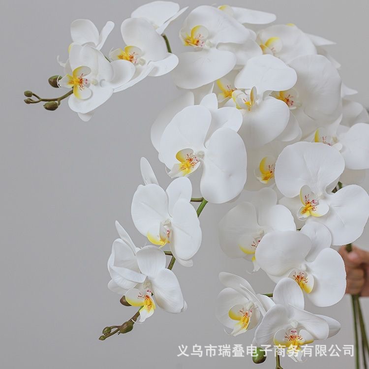 高仿单支蝴蝶兰仿真花9头手感3D蝴蝶兰假花绢花家居装饰摆件幸福|undefined