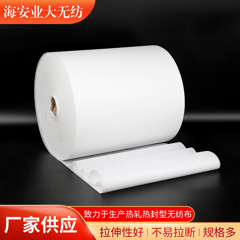 热封型无纺布 批发干燥剂包装透气专用DS50克无纺布