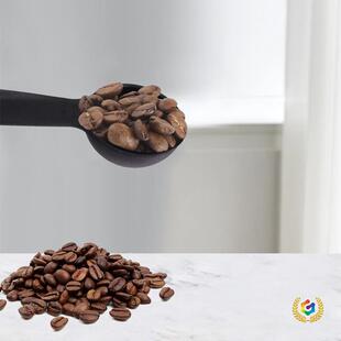 ?��ɫ��������5���׎��̶Ⱥ決�������Ϸ�ĩӋ���׬F؛���l