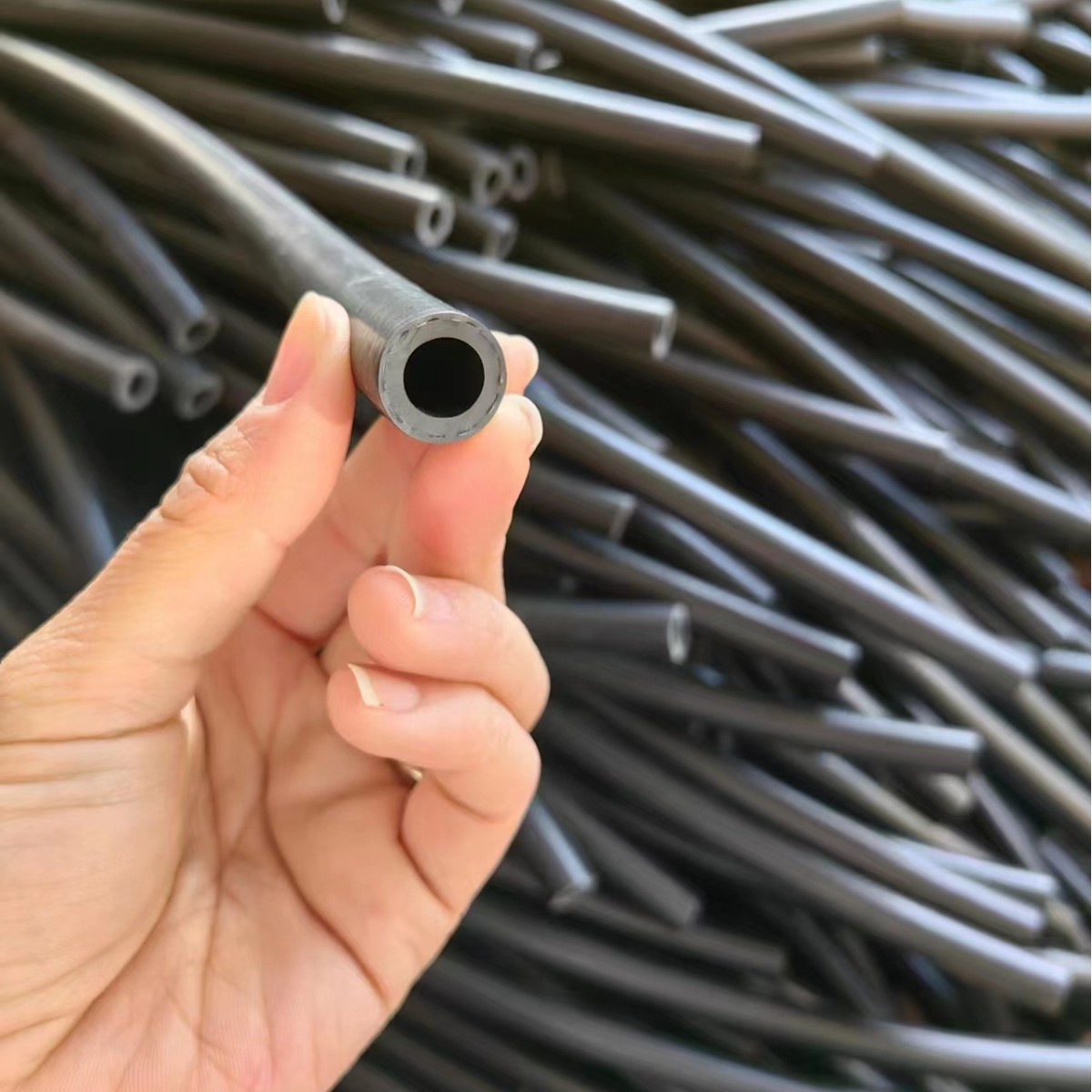 2024-10-12 13:01:52.jpg