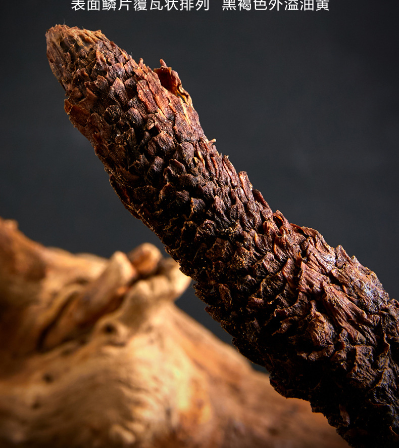 Whole Dried Cistanche Root 500g Rou Cong Rong for Tea Soup and Wine Soaking in use
