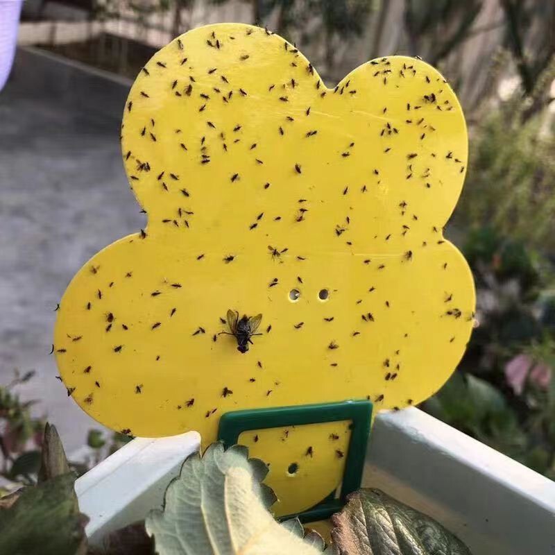 黄色蝴蝶花形异形粘虫板黏虫板果蝇诱捕器昆虫陷阱诱虫板园林花卉|undefined