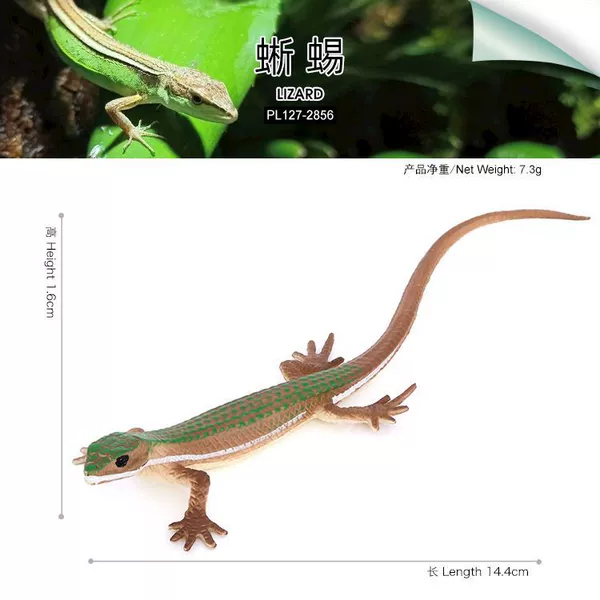 127-2856 lizard