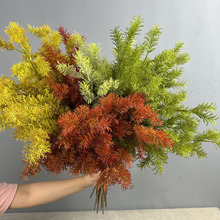 ǧ�ӽ�3���S������cܛ�b���û���ֲ��廨�ز����T�|�L֧�ɲݼ�