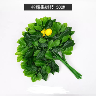 晎ʽӘ~Ә䙎ʘϼ٘ӡ~쾰Gֲ