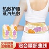艾草暖腰护腰护膝蒸汽热敷暖贴带温灸颈肩腰发热贴宫寒暖宝宝代发|ms