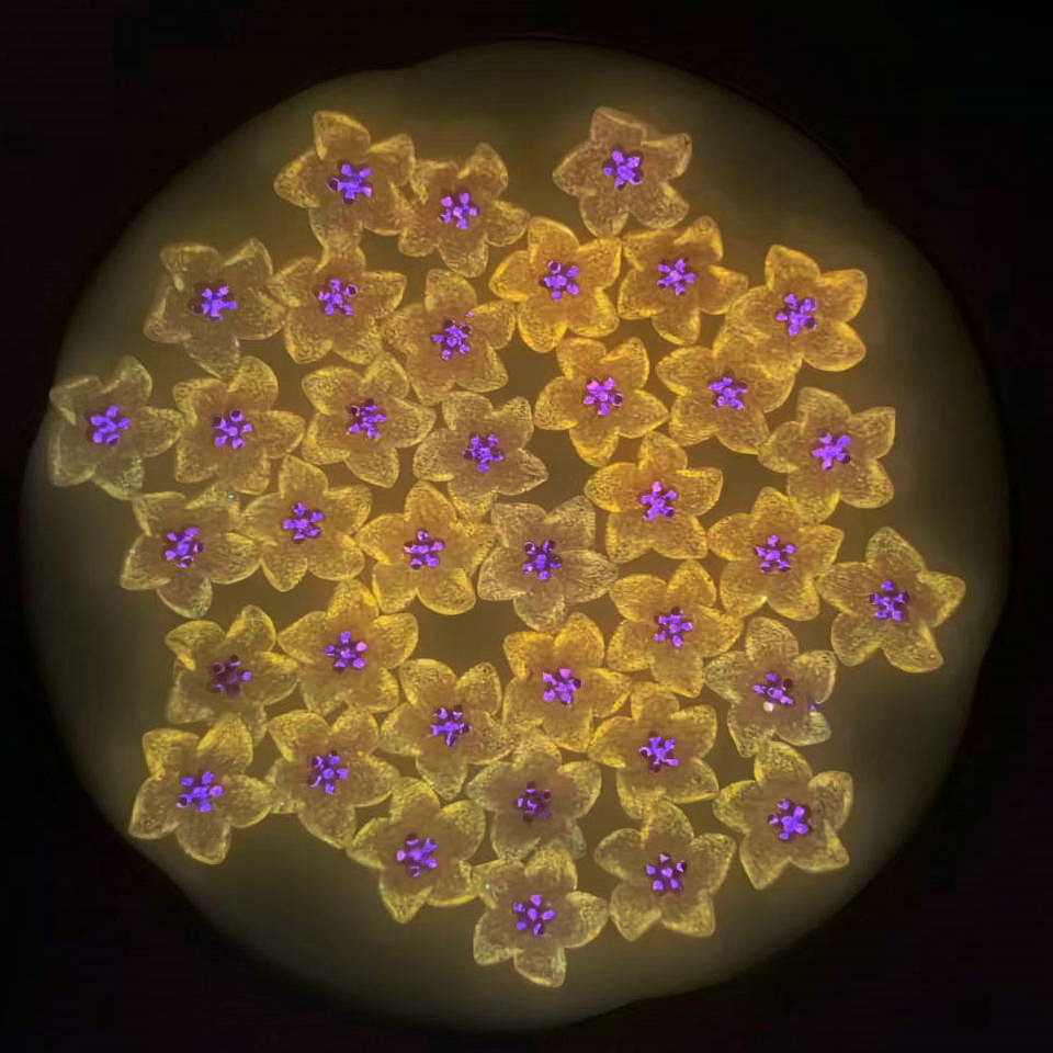 夜光百合花树脂平底钻美甲饰品diy饰品配件批发亚马逊货源_1