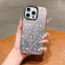 ��ɫ�黨����ƻ��15Promax�ֻ���iPhone16����13/12Proʱ��11Ӳ14