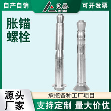 膨胀锚栓YG2型 YG3型胀锚螺栓高铁隧道轨交专用抗冲击性重型锚栓