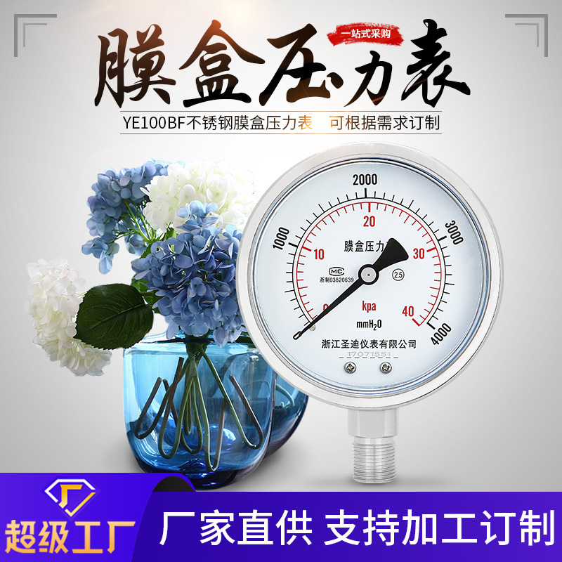 不锈钢膜盒压力表YE100BF 径向不锈钢膜盒耐震压力表膜片压力表