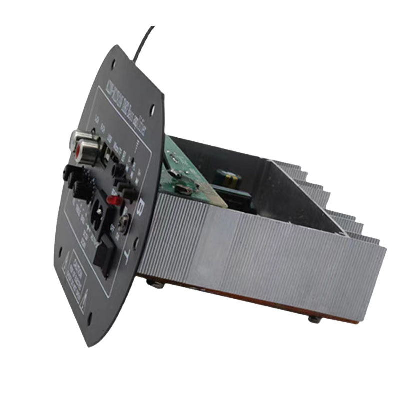 Subwoofer de coche de 6 pulgadas Bluetooth amplificador de potencia coche 12/24V hogar 220 V 30W
