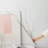 3 major branches of Longliu-about 80 ~ 100cm in size, mix and match