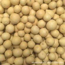 �F؛�N���u�����J ����С���J�[����������J��Ƥ�A���JС����