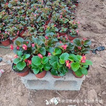 �ļ�����������������l�󻨴��~���ľG�~�t���t�~�t���ļ��ͺ���