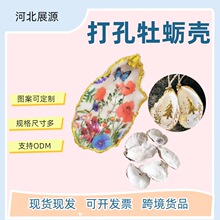 牡蛎壳批发天然首饰展示盘团建儿童亲子活动礼物手工diy生蚝壳