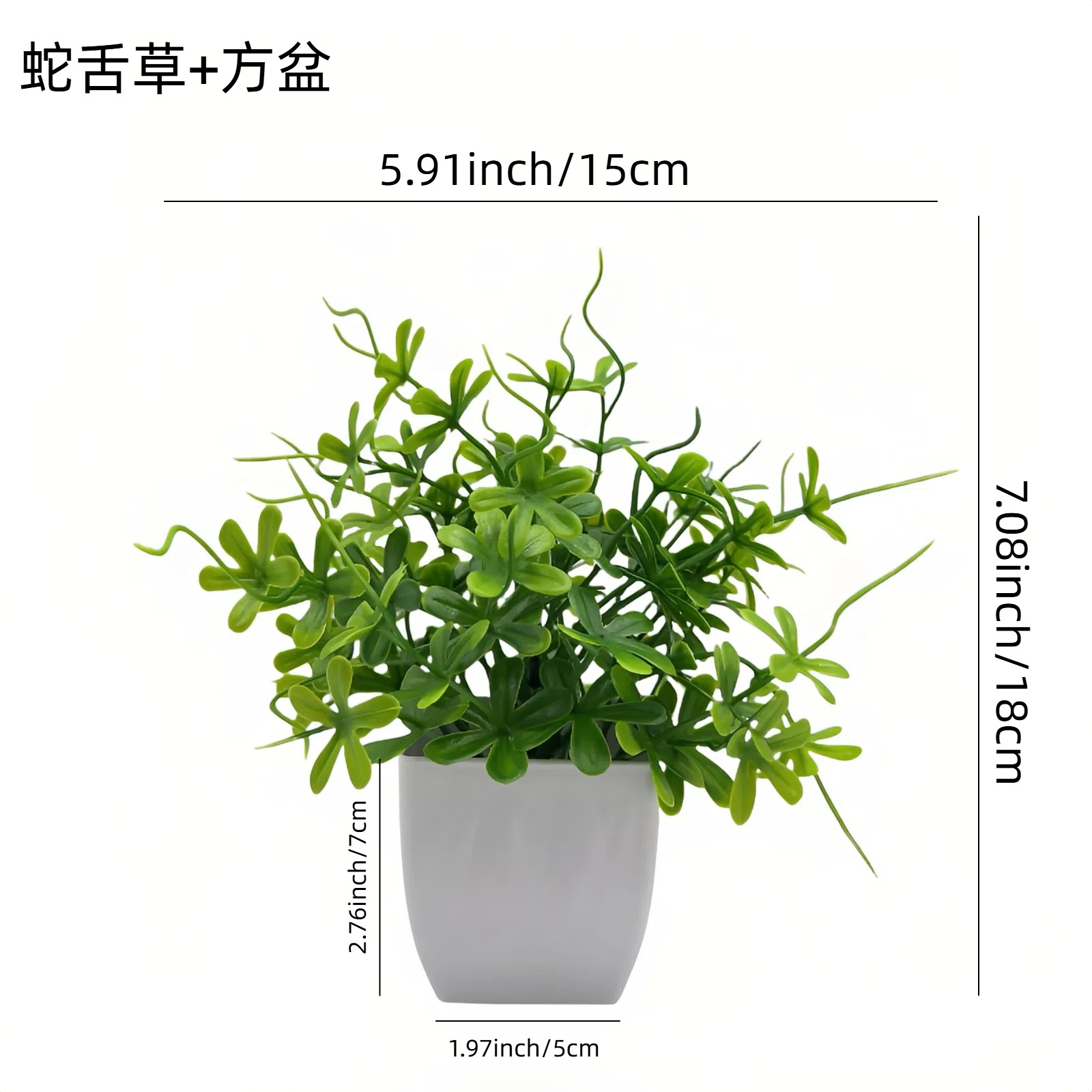 Venta al por mayor transfronteriza de Amazon: Juego de 10 mini plantas artificiales en maceta para decoración del hogar, eucalipto, lavanda, bonsái image 9