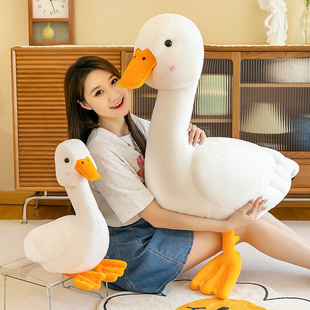 ���ȿɐ�������ë�q���Ů��������˯������ϵ�ӼҔ[S�����l