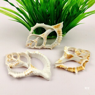 ؐ��������Ƭ�̴���õ����������Ƭ�ֹ���ƬDIY�朲�������