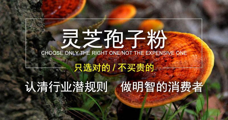 Organic Reishi Mushroom Spore Powder Ling Zhi Bao Zi Fen 250g Bottle overview