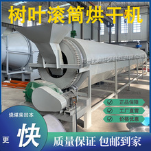 银杏叶转筒烘干机桑树叶构树叶连续式烘干机牧草苔藓烘干机