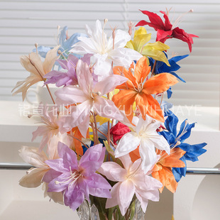 3�^�ذ��°ٺϷ��滨�Ҿӿ͏d�[�Ų廨��c·�����ŔzӰ����ٻ�