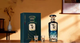 玻璃瓶;酒包装;其他酒水包装