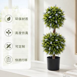 �羳���N�����S��ľ޹�²�һ�U�����������Լ٘�ͥԺ�b���ֲ��