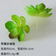 Apple Leaf Green